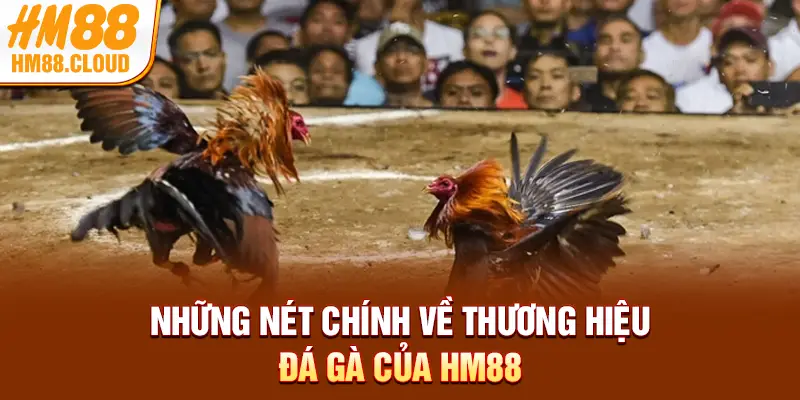 Những nét chính về thương hiệu đá gà của HM88